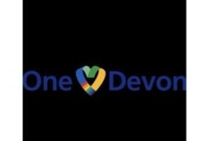 Launching the Devon-wide Ethnic Equality Network