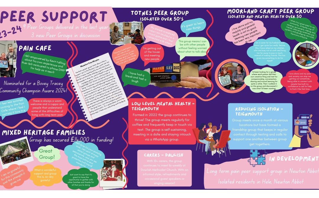 Teignbridge CVS Peer Support Programme